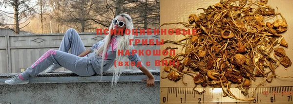 твердый Няндома
