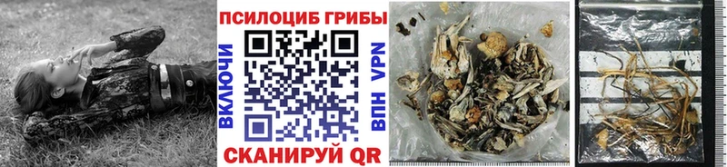 наркота  Данков  Псилоцибиновые грибы мухоморы 